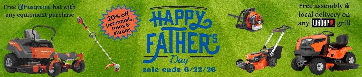 Father's Day Sale